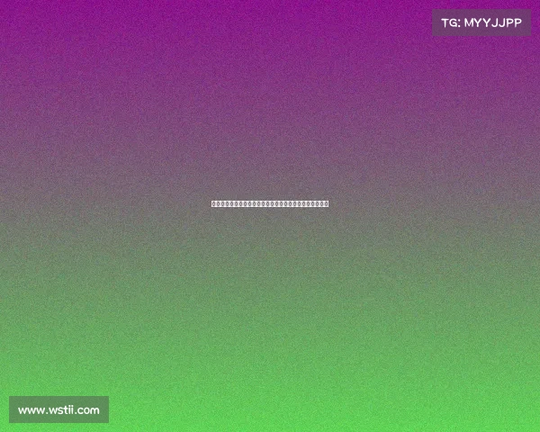 法尔克：金玟哉希望通过剩余季前赛评估自己能否获得重用